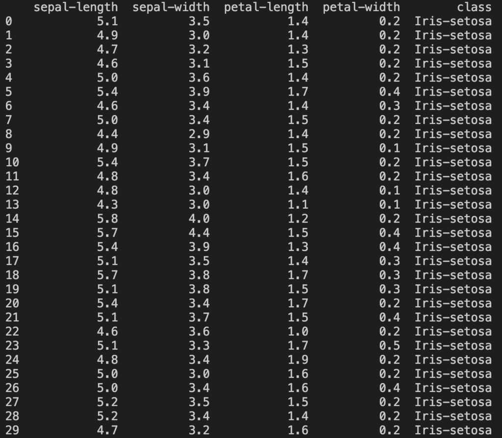 Printout of the first 30 rows of the dataset