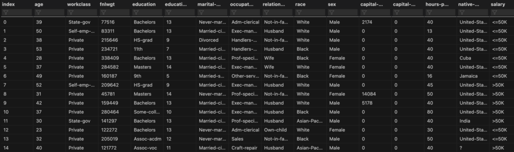 Printout of the first 14 elements of the dataset in dataset viewer