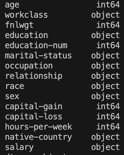 Printout of the data types of the columns of the dataset